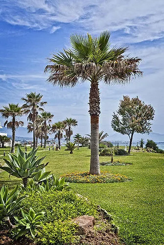 Albayt Beach Διαμέρισμα *
