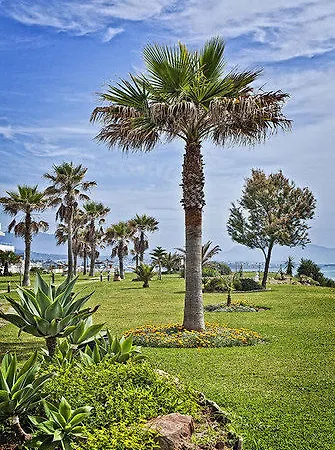 Albayt Beach Aparthotel 3*
